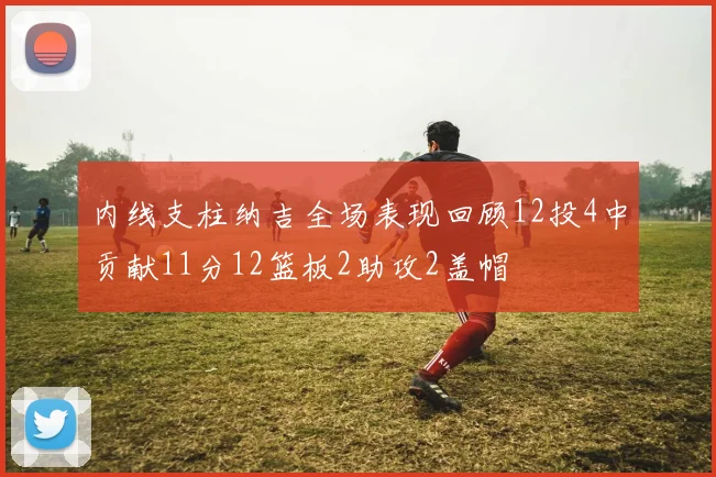 内线支柱纳吉全场表现回顾12投4中贡献11分12篮板2助攻2盖帽