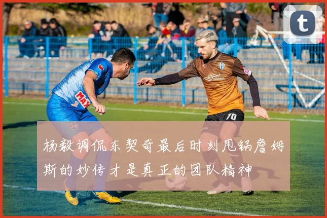 杨毅调侃东契奇最后时刻甩锅詹姆斯的妙传才是真正的团队精神